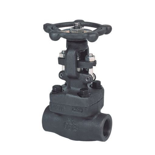 Z61H�Ͷ͸ֳв庸բ��